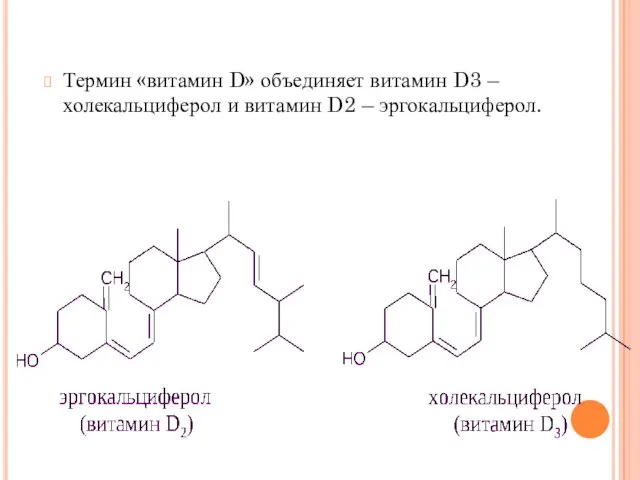 Термин «витамин D» объединяет витамин D3 – холекальциферол и витамин D2 – эргокальциферол.
