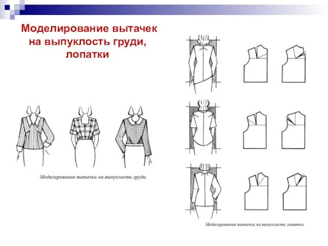 Моделирование вытачек на выпуклость груди, лопатки