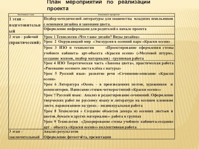 План мероприятий по реализации проекта