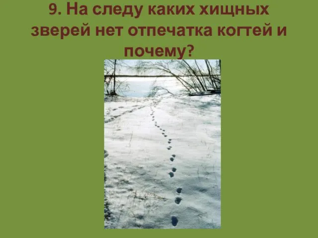 9. На следу каких хищных зверей нет отпечатка когтей и почему?