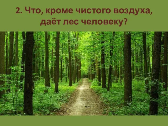 2. Что, кроме чистого воздуха, даёт лес человеку?