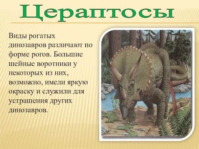 Цераптосы Виды рогатых динозавров различают по форме рогов. Большие шейные воротники у некоторых