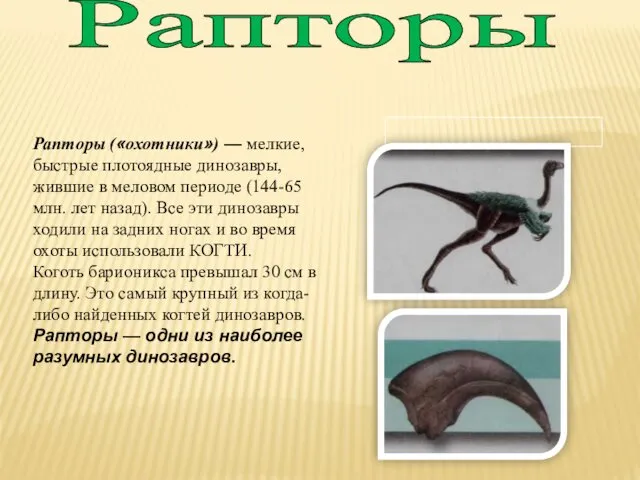 Рапторы Рапторы («охотники») — мелкие, быстрые плотоядные динозавры, жившие в