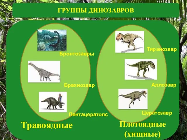 Бронтозавры Брахиозавр Пентацератопс Тиранозавр Аллозавр Цератозавр Травоядные Плотоядные (хищные) ГРУППЫ ДИНОЗАВРОВ