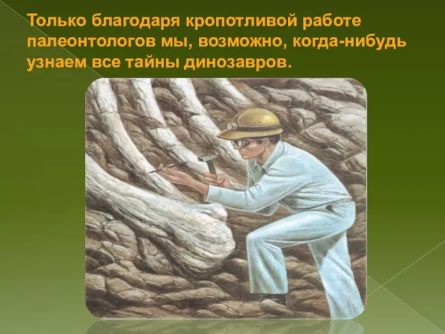 Только благодаря кропотливой работе палеонтологов мы, возможно, когда-нибудь узнаем все тайны динозавров.