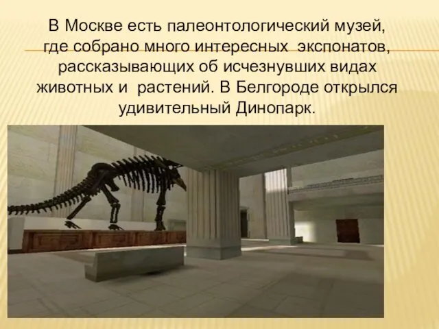 В Москве есть палеонтологический музей, где собрано много интересных экспонатов, рассказывающих об исчезнувших