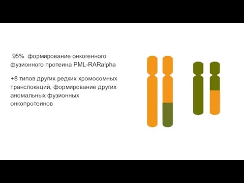 95% формирование онкогенного фузионного протеина PML-RARalpha +8 типов других редких хромосомных транслокаций, формирование