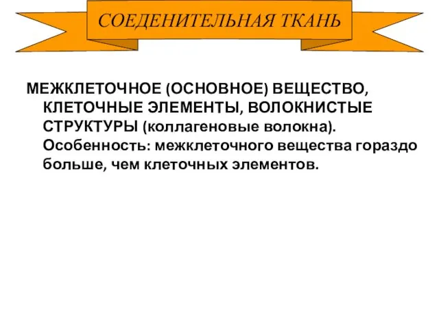 СОЕДЕНИТЕЛЬНАЯ ТКАНЬ МЕЖКЛЕТОЧНОЕ (ОСНОВНОЕ) ВЕЩЕСТВО, КЛЕТОЧНЫЕ ЭЛЕМЕНТЫ, ВОЛОКНИСТЫЕ СТРУКТУРЫ (коллагеновые