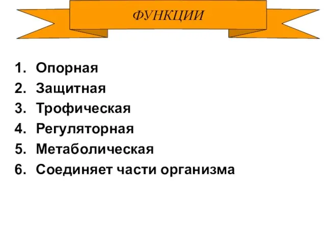 ФУНКЦИИ Опорная Защитная Трофическая Регуляторная Метаболическая Соединяет части организма