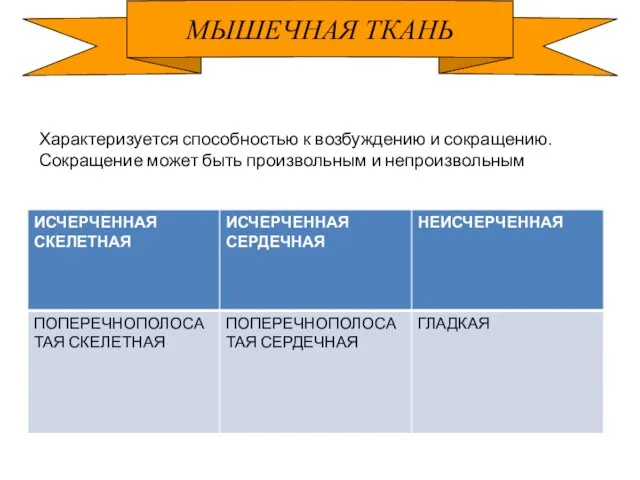 МЫШЕЧНАЯ ТКАНЬ Характеризуется способностью к возбуждению и сокращению. Сокращение может быть произвольным и непроизвольным