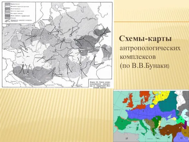 Схемы-карты антропологических комплексов (по В.В.Бунаки)
