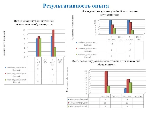 Результативность опыта