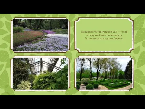 Донецкий ботанический сад — один из крупнейших по площади ботанических садов в Европе.