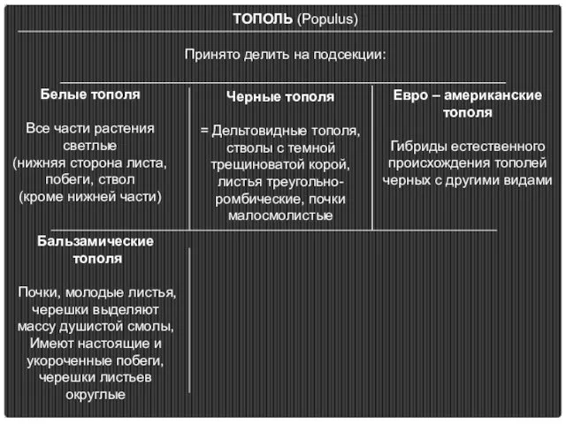 ТОПОЛЬ (Populus) Принято делить на подсекции: Евро – американские тополя