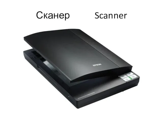 Сканер Scanner