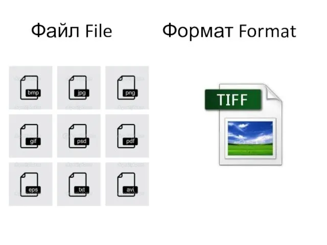 Файл File Формат Format