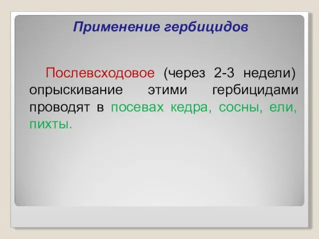 Применение гербицидов Послевсходовое (через 2-3 недели) опрыскивание этими гербицидами проводят в посевах кедра, сосны, ели, пихты.