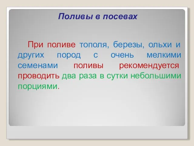 Поливы в посевах При поливе тополя, березы, ольхи и других