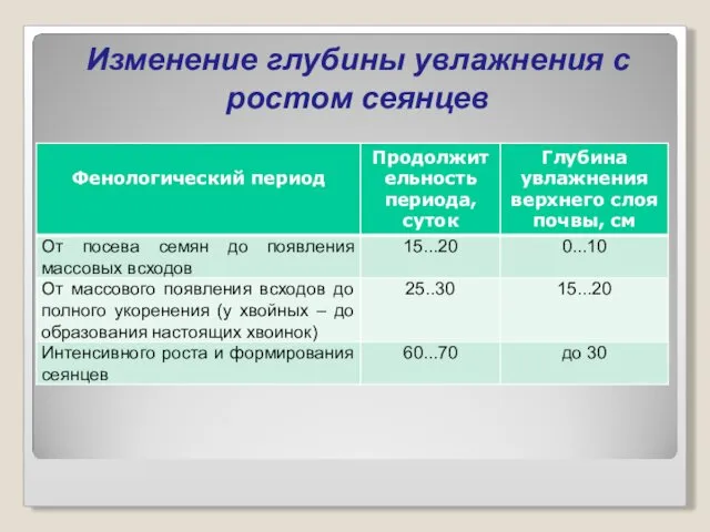 Изменение глубины увлажнения с ростом сеянцев