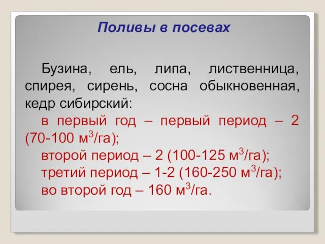 Поливы в посевах Бузина, ель, липа, лиственница, спирея, сирень, сосна