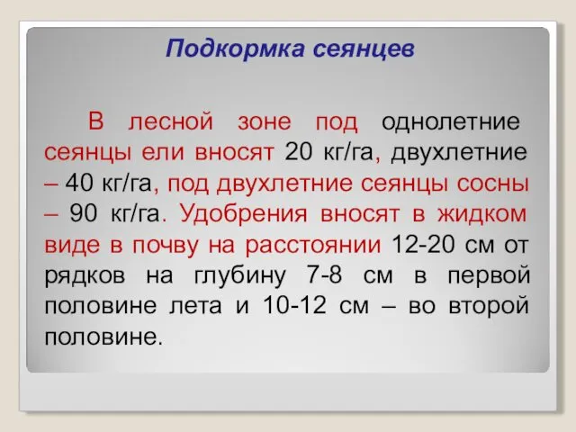 Подкормка сеянцев В лесной зоне под однолетние сеянцы ели вносят