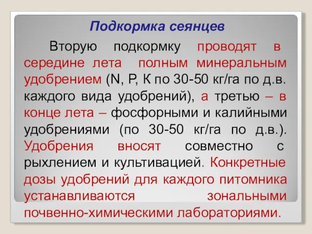 Подкормка сеянцев Вторую подкормку проводят в середине лета полным минеральным