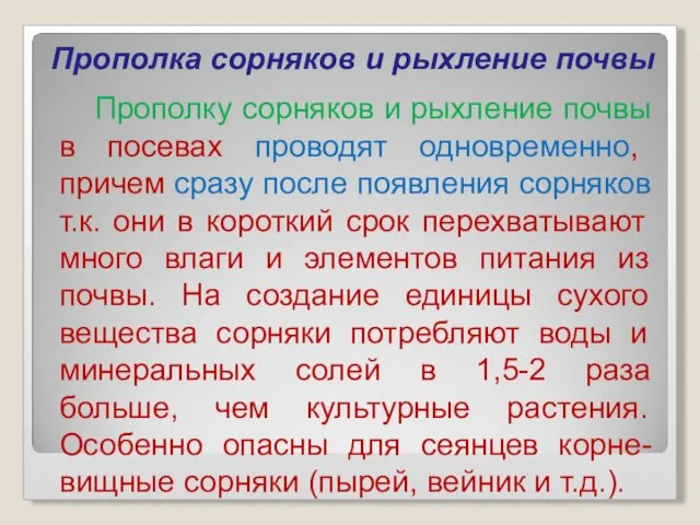 Прополка сорняков и рыхление почвы Прополку сорняков и рыхление почвы