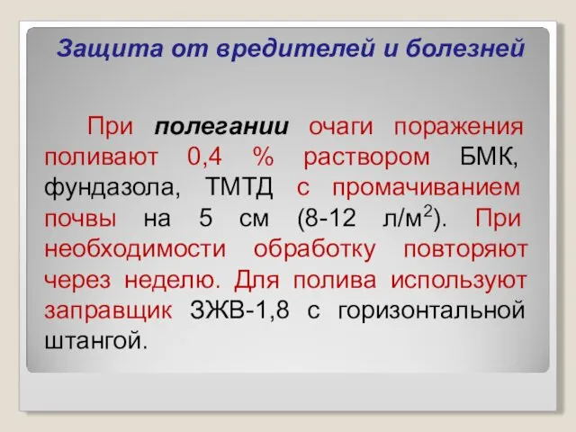 Защита от вредителей и болезней При полегании очаги поражения поливают