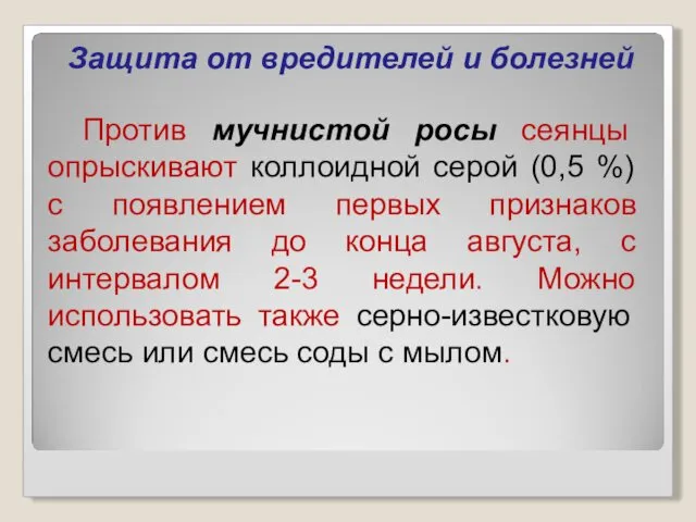 Защита от вредителей и болезней Против мучнистой росы сеянцы опрыскивают