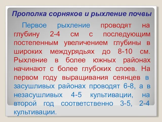 Прополка сорняков и рыхление почвы Первое рыхление проводят на глубину