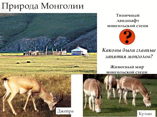 Природа Монголии Куланы Джейран Типичный ландшафт монгольской степи Животный мир монгольской степи ?