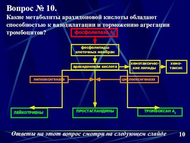 фосфолипаза А2 фосфолипиды клеточных мембран арахидоновая кислота хемотаксичес- кие липиды