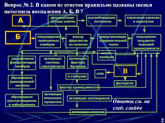 А высвобождение гистамина дегрануляция тучных клеток появление каналов в эндотелии