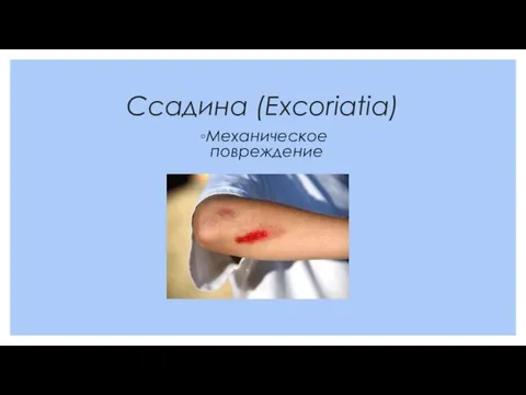 Ссадина (Excoriatia) Механическое повреждение