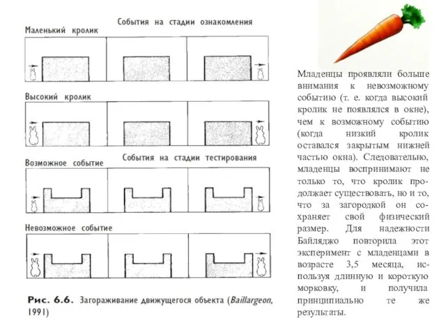 Младенцы проявляли больше внимания к невозможному событию (т. е. когда