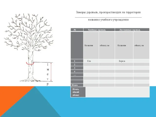 Замеры деревьев, произрастающих на территории ____________________________________________ название учебного учреждения