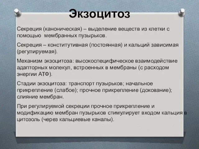 Экзоцитоз Секреция (каноническая) – выделение веществ из клетки с помощью