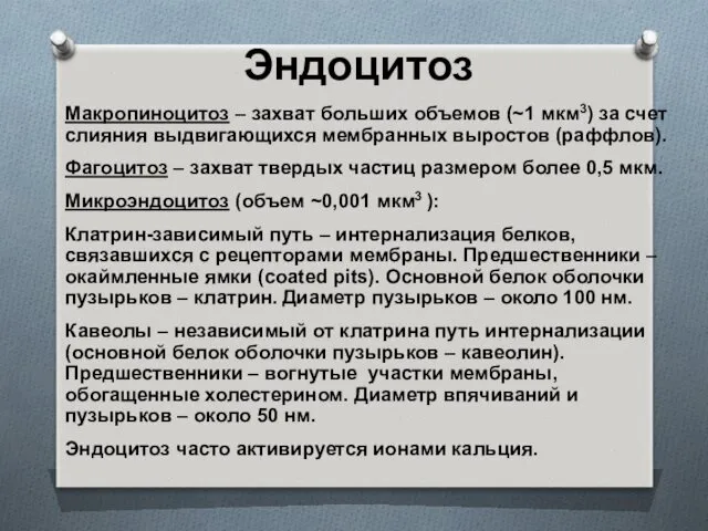 Эндоцитоз Макропиноцитоз – захват больших объемов (~1 мкм3) за счет