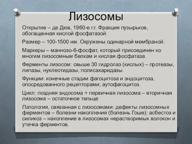 Лизосомы Открытие – де Дюв, 1960-е г.г. Фракция пузырьков, обогащенная