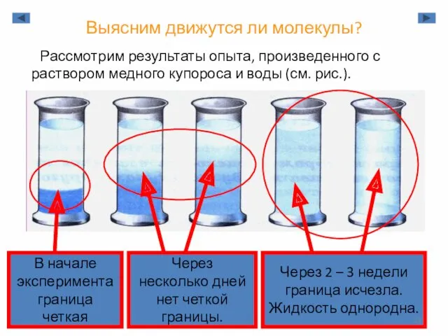 Через несколько дней нет четкой границы. В начале эксперимента граница