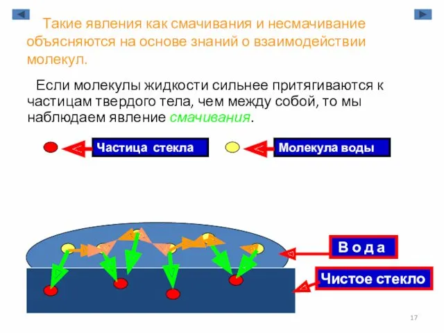 Такие явления как смачивания и несмачивание объясняются на основе знаний