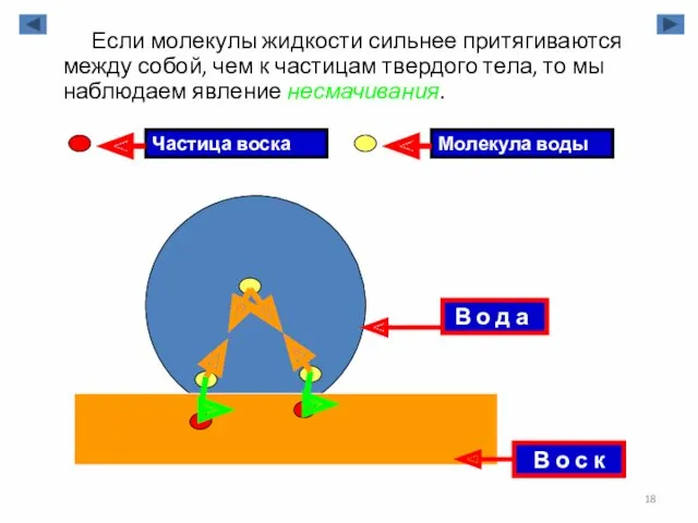 Если молекулы жидкости сильнее притягиваются между собой, чем к частицам