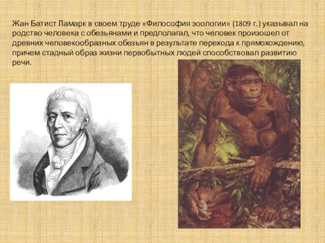 Жан Батист Ламарк в своем труде «Философия зоологии» (1809 г.) указывал на родство