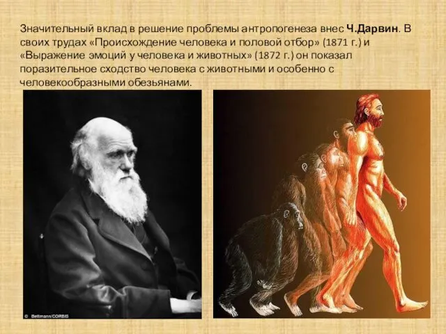 Значительный вклад в решение проблемы антропогенеза внес Ч.Дарвин. В своих трудах «Происхождение человека