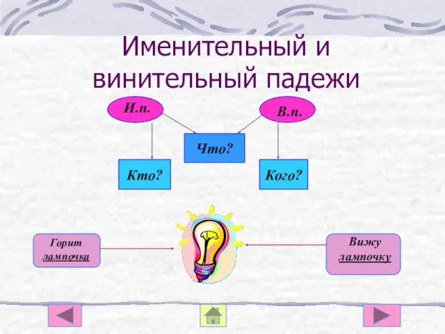 Именительный и винительный падежи Кто? Кого?