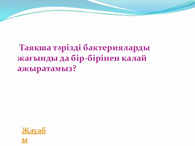 Таяқша тәрізді бактерияларды жағынды да бір-бірінен қалай ажыратамыз? Жауабы