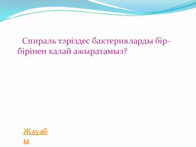 Спираль тәріздес бактерияларды бір-бірінен қалай ажыратамыз? Жауабы