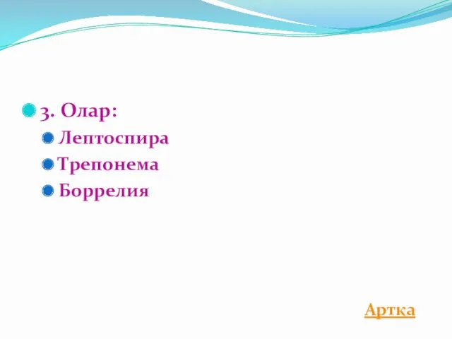 3. Олар: Лептоспира Трепонема Боррелия Артқа