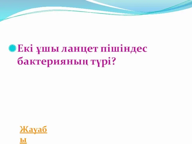 Екі ұшы ланцет пішіндес бактерияның түрі? Жауабы