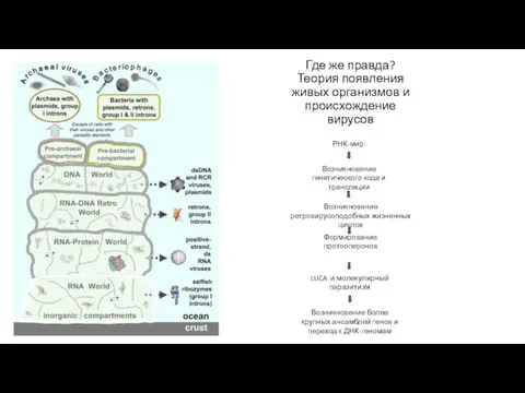 Где же правда? Теория появления живых организмов и происхождение вирусов